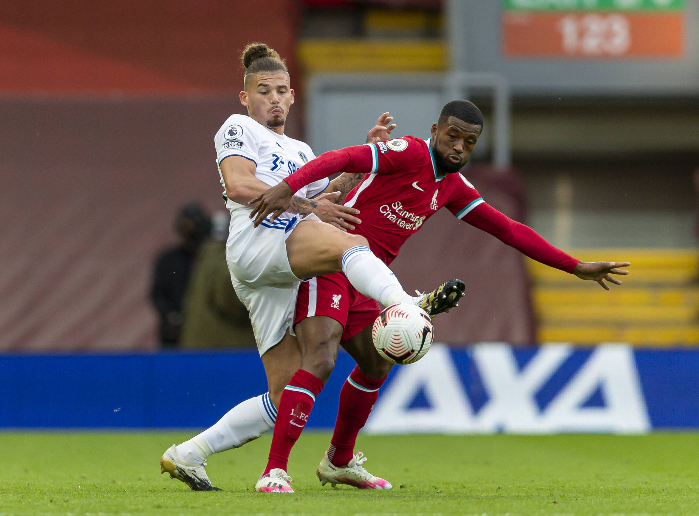 他的多才多 他的多才多